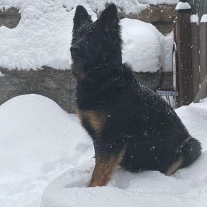 Meet your Posher, Mitchell